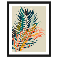 Colorful Palm Leaves