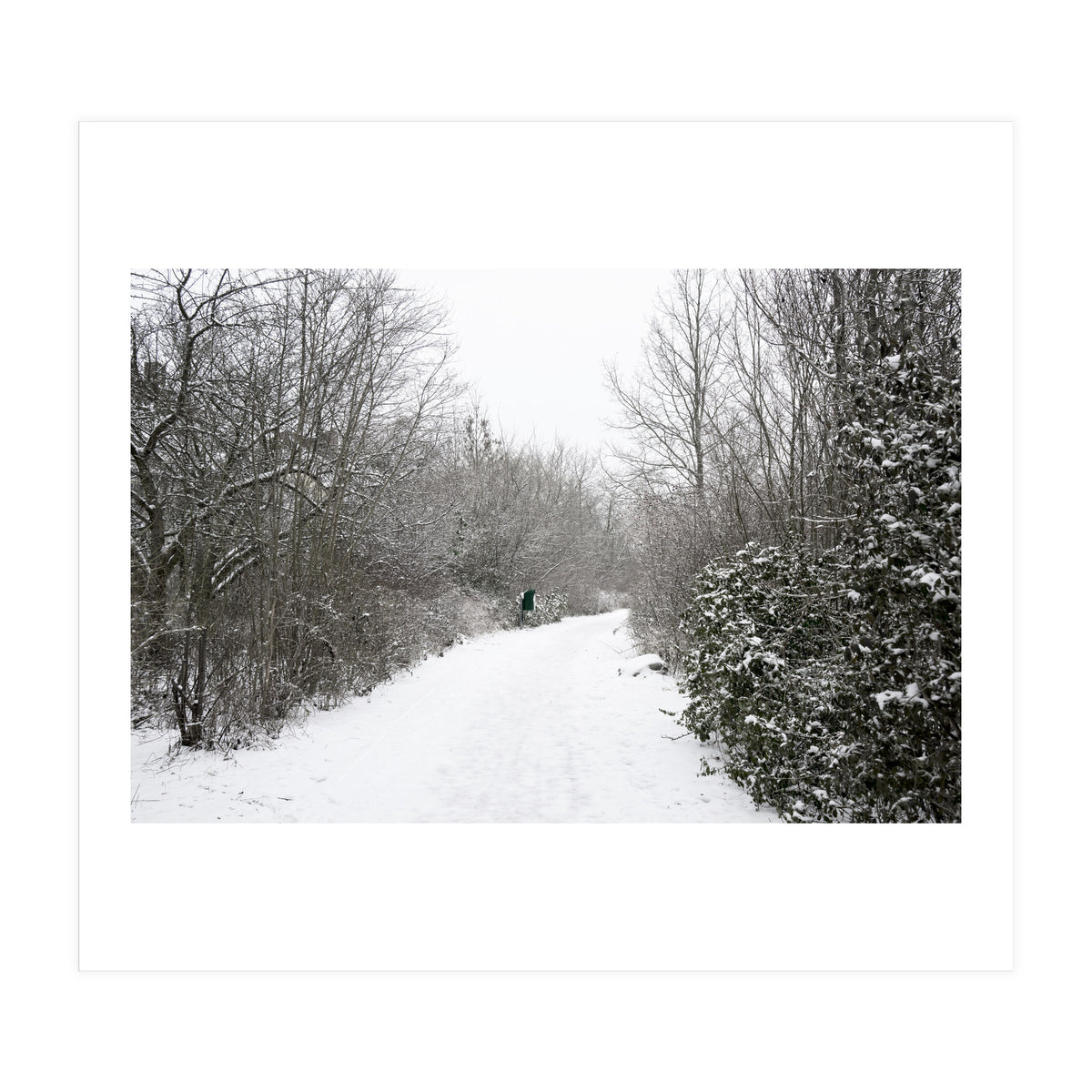 Walking through the snow park (Print Only)