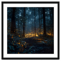 Enchanted Midnight Forest with Glowing Fireflies