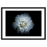 Backyard Flowers No 90 Color Version thumbnail