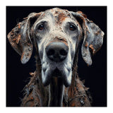 Old Dog 04 (Print Only) thumbnail