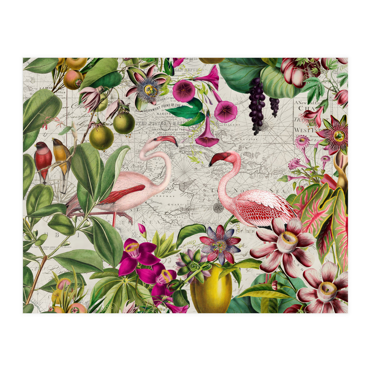 Flamingo Island 2 (Print Only)