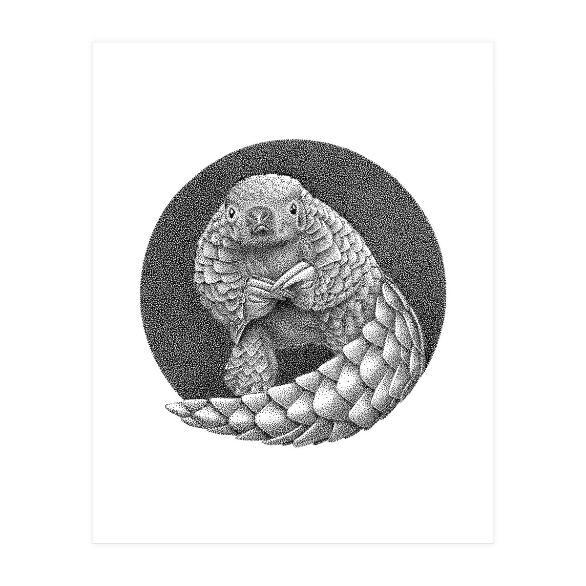 Pangolin no. 1 (Print Only)