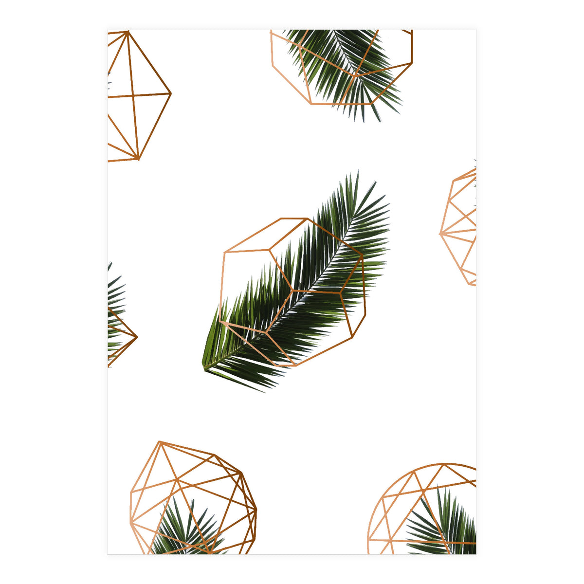 Palm  Geometry V2 (Print Only)
