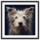 Old Dog 07 thumbnail