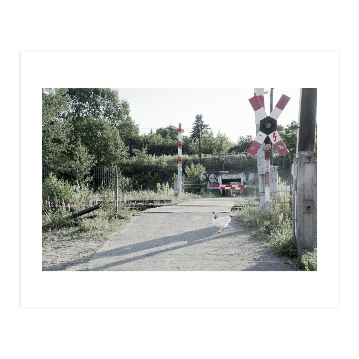 A chicken crossing a railroad (Print Only)