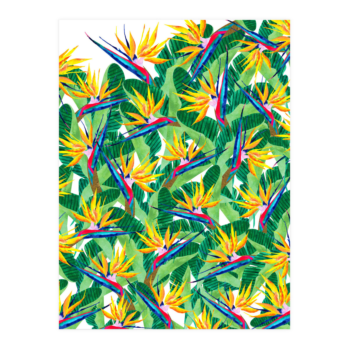 Summer Strelitzia (Print Only)