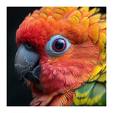 Close Up Sun Conure Parrot Eye Feathers  (Print Only) thumbnail