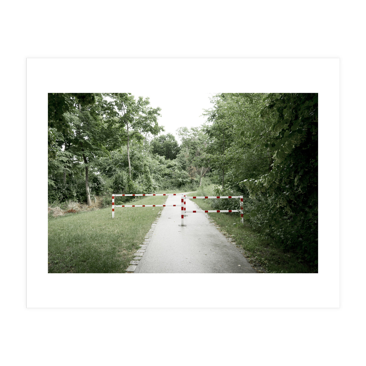 Entrance to the green park (Print Only)