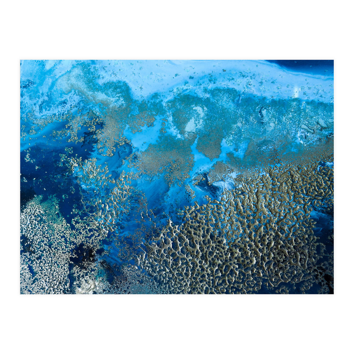 Revitalize (Print Only)