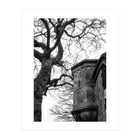 Stark Contrast (Print Only)