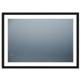 Flying Segulls in thet winter sky thumbnail
