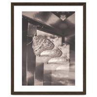 Evolving | Sepia