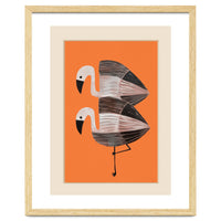 Tangerine Flamingos