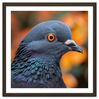 Close Up Of A Pigeon's Head And Neck