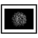 Backyard Flowers In Black And White No 48 Flow Version thumbnail
