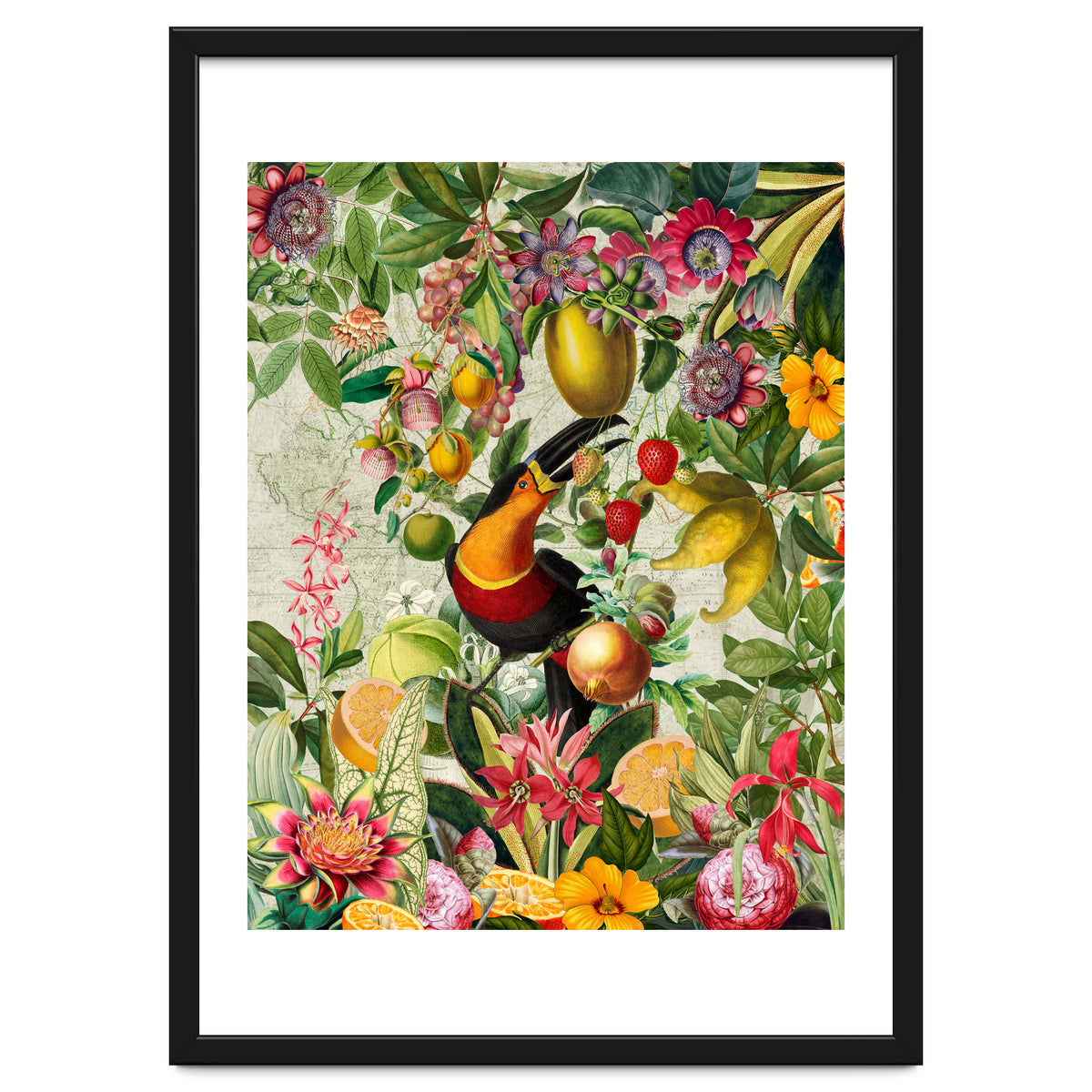 Toucan vintage jungle 1