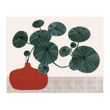 Stephonia Erecta plant (Print Only) thumbnail