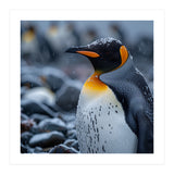 King Penguin Standing In Snowfall Outdoors (Print Only) thumbnail