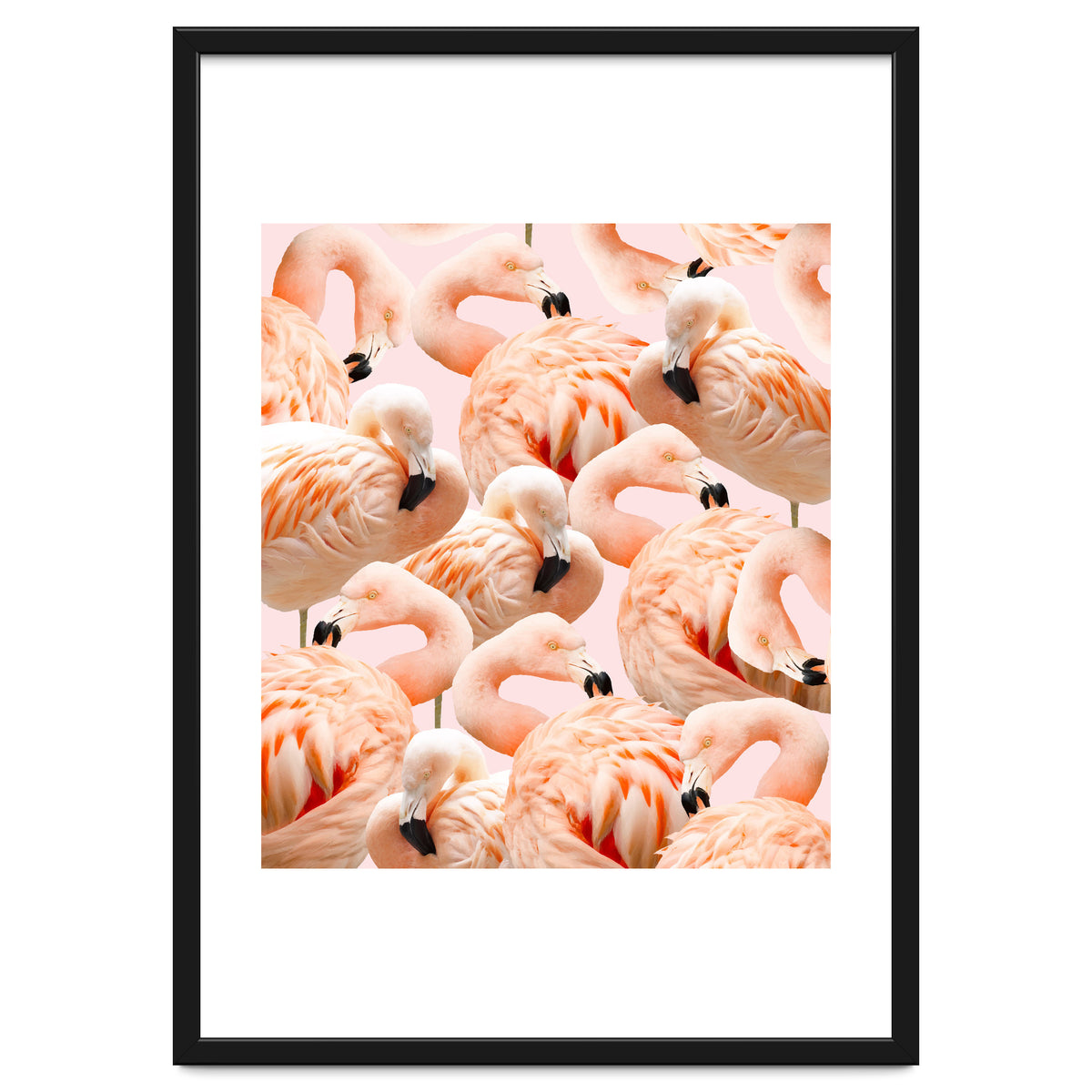 Flamingo Blush #society6 #decor #buyart #flamingoart