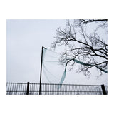 Net caught in a tree (Print Only) thumbnail