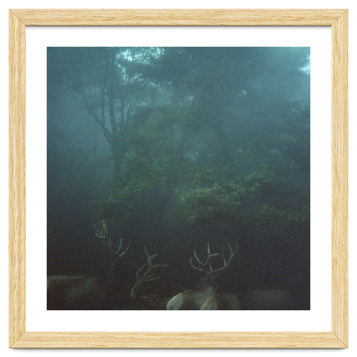 Silence of breath - 12