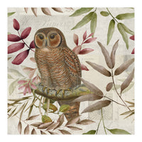 Autumn Owl (Print Only)