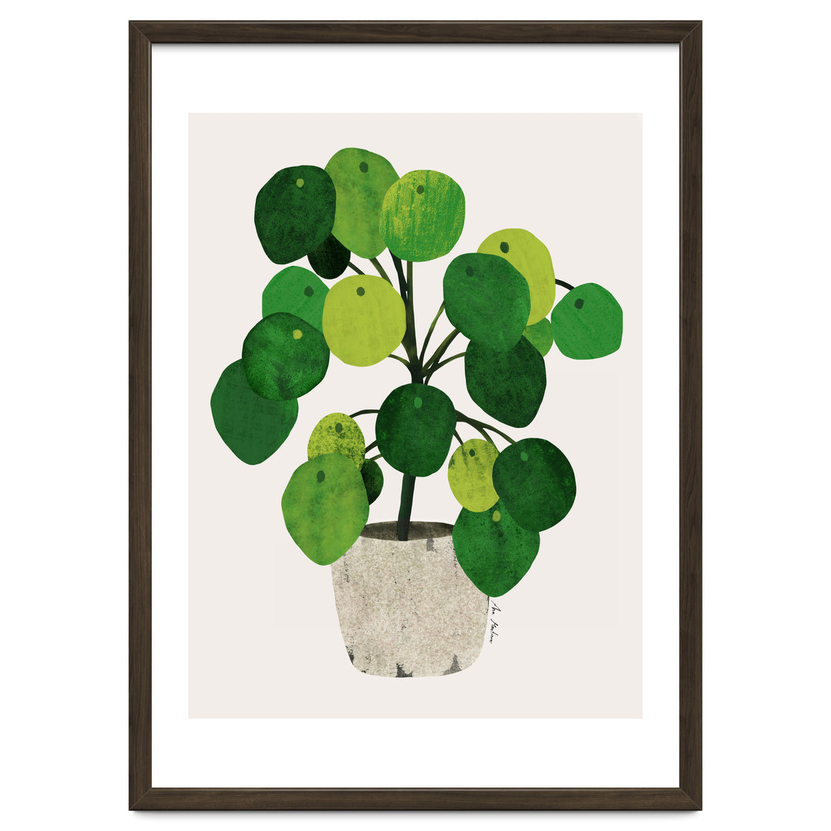 Pilea Plant