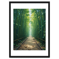 The Emerald Path: A Sun-Drenched Journey