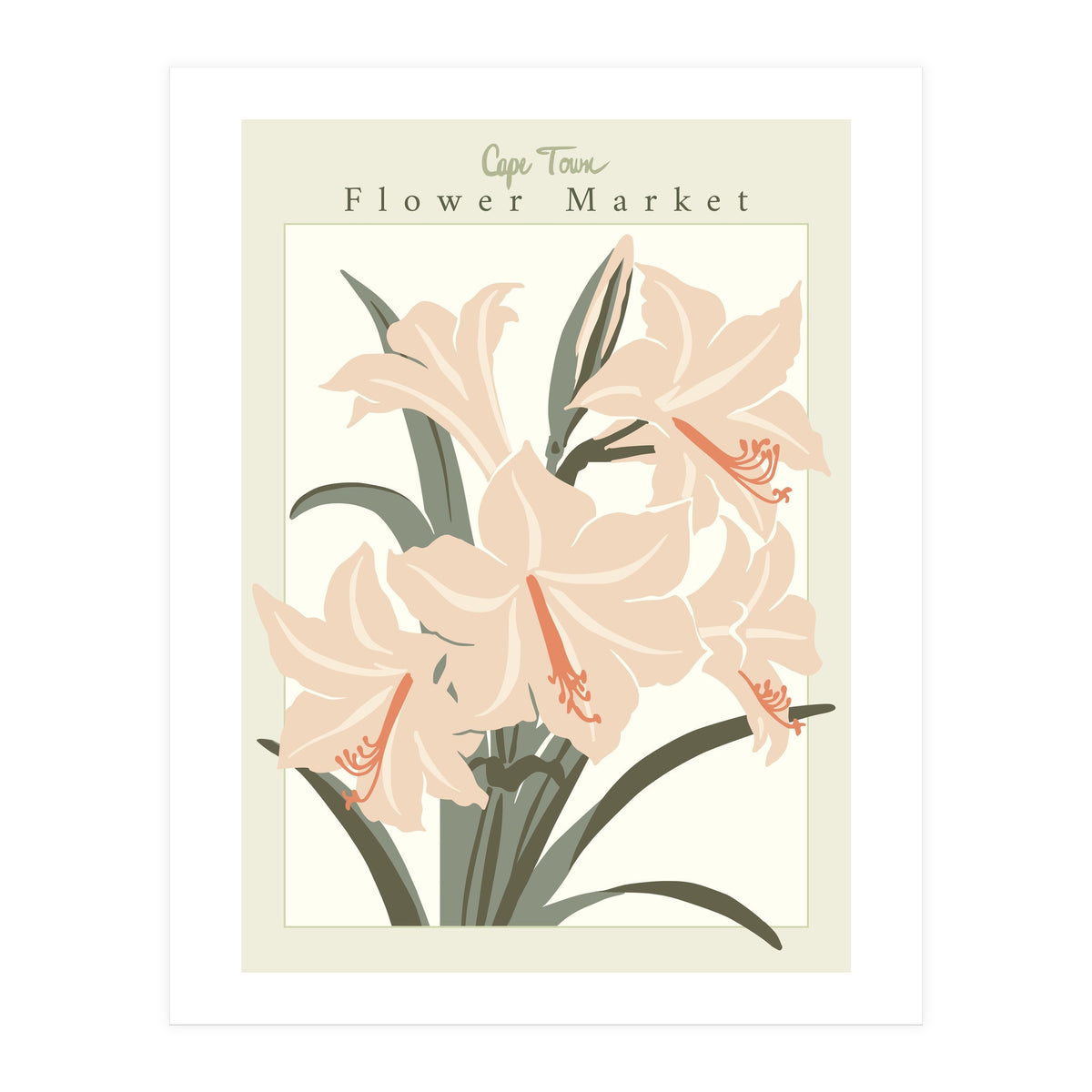 Flower Market Cap Town Amaryllis (Print Only)