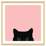 Black cat thumbnail