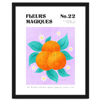 Magical Flowers No.22 Orange Bossom