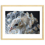 Close Up Albino Peacock Bird Portrait thumbnail