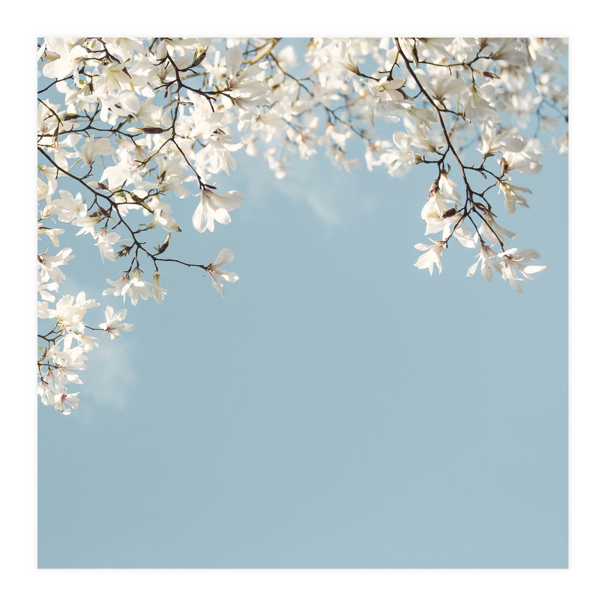 Symphony Blues (Print Only)