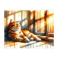 Cat Relaxing In Sunlight (Print Only)