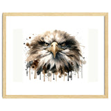 Fierce Bald Eagle Portrait thumbnail