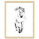 Runninh Ghorse In Water thumbnail