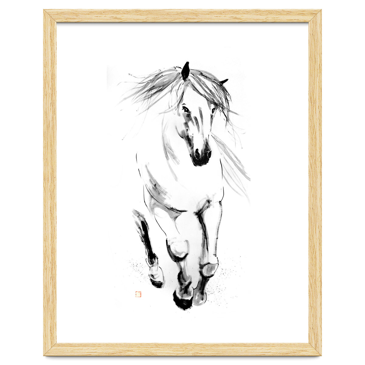 Runninh Ghorse In Water