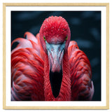 Close Up Flamingo Face With Water Droplets thumbnail