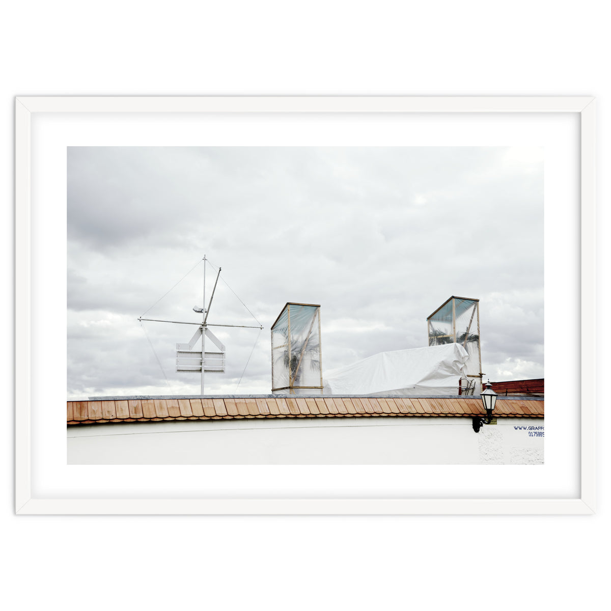 Palm tree waiting for summer