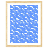 Swimming dolphins