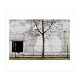 A tree in front of the wall (Print Only) thumbnail