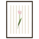 Single Tulip thumbnail