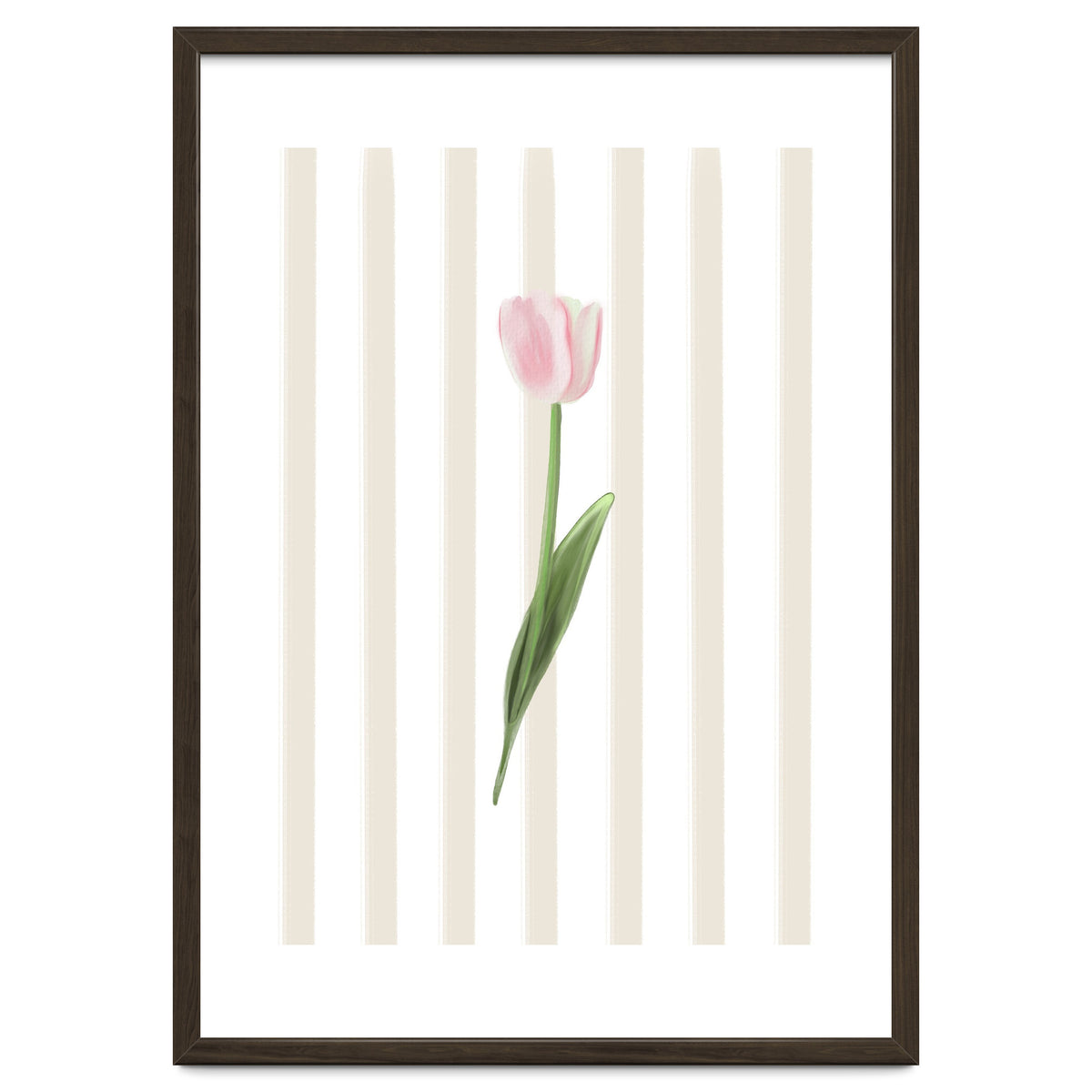 Single Tulip