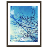 Winter thumbnail
