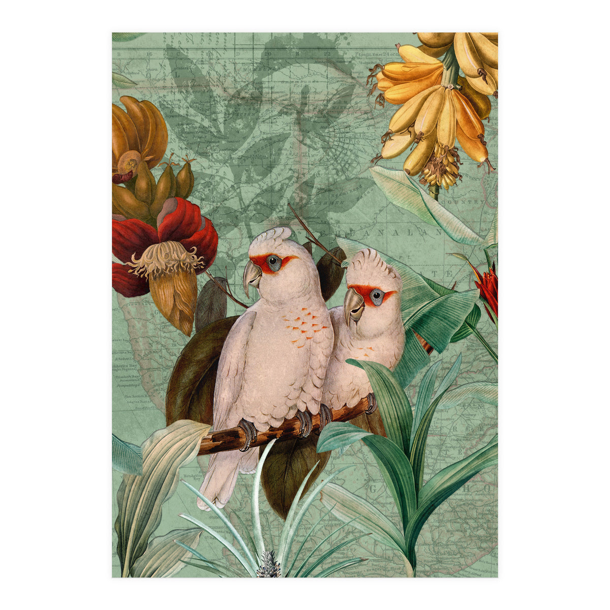 Green Cockatoo Exotic Bird Jungle  (Print Only)