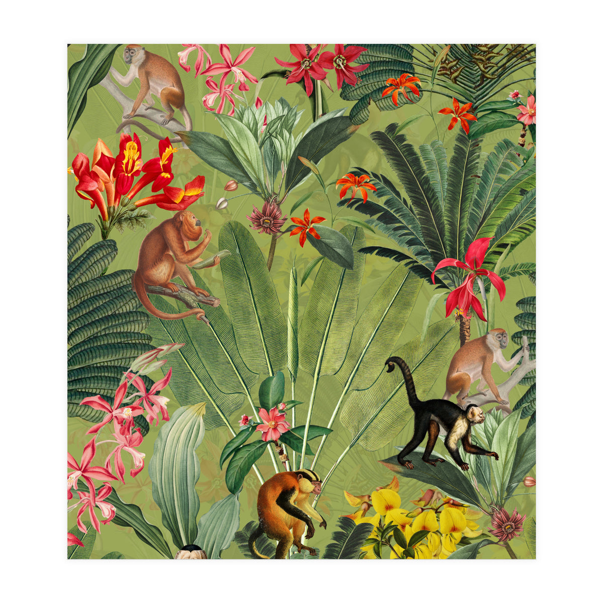 Monkeys In Tropical Jungle Paradise (Print Only)