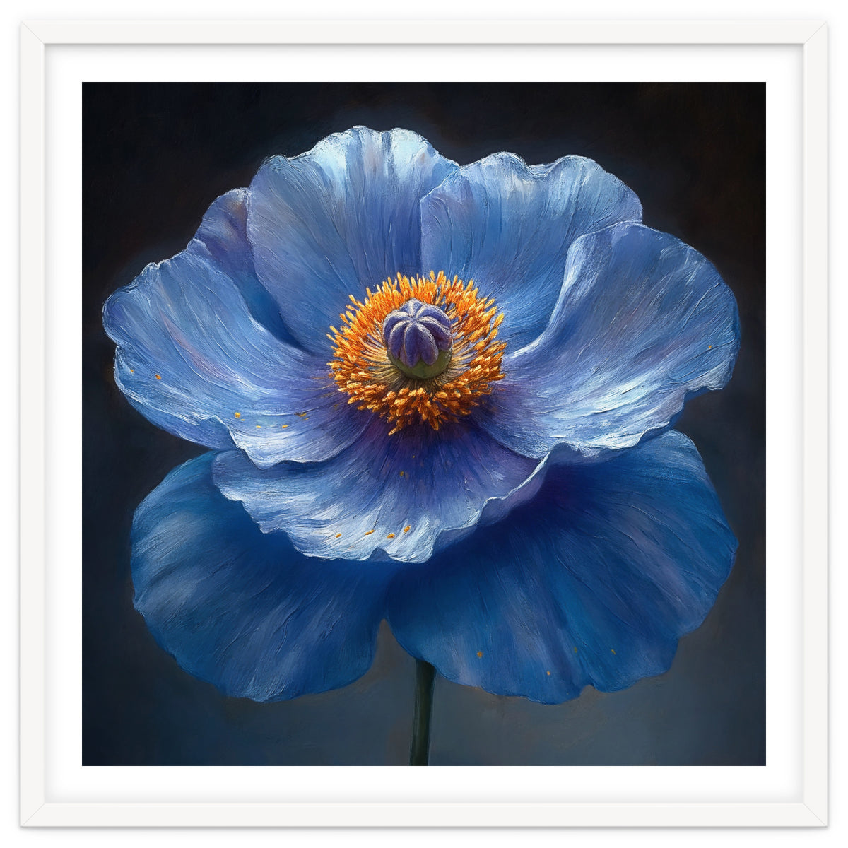 Meconopsis | Sapphire Serenade