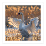 Swan Spreading Wings In Water Sunlight (Print Only) thumbnail