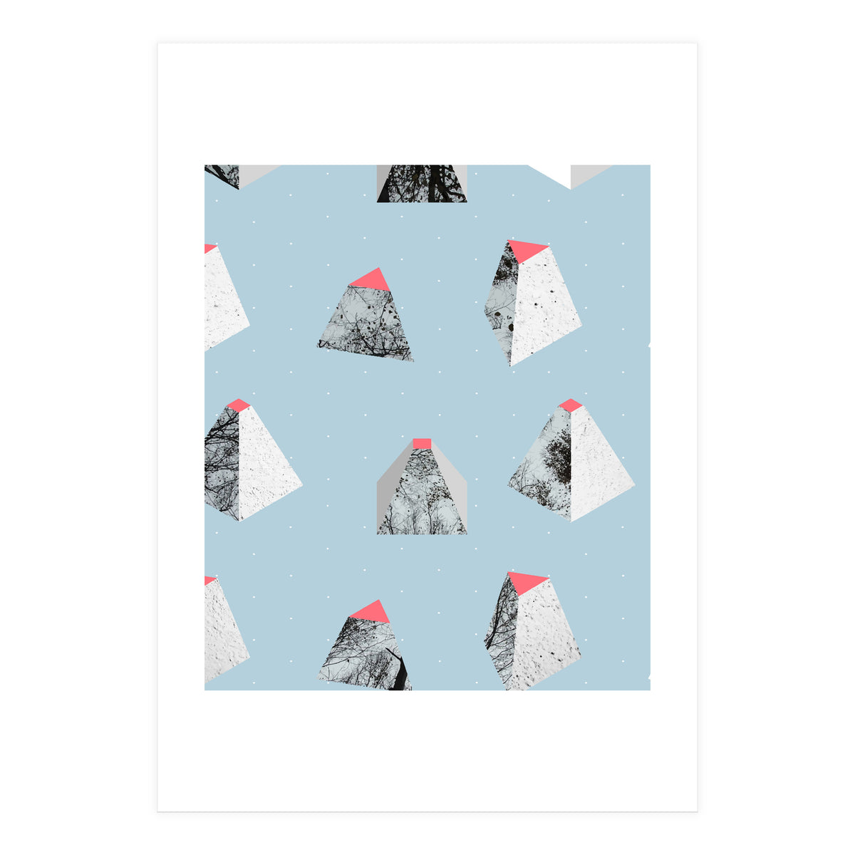 Because I Can (Print Only)